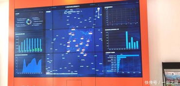 電子商務(wù)振興農(nóng)村經(jīng)濟(jì) 大悟農(nóng)特產(chǎn)品銷(xiāo)售節(jié)節(jié)攀升與儀器儀表產(chǎn)業(yè)的協(xié)同發(fā)展